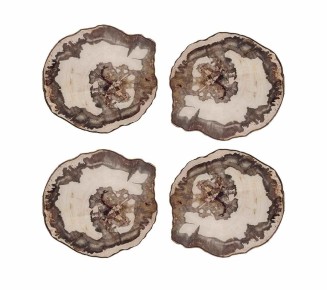 Petrified Wood Drink Coasters in Natural & Brown, Set of 4 in a Gift Box