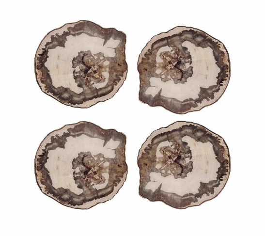 Petrified Wood Drink Coasters in Natural & Brown, Set of 4 in a Gift Box