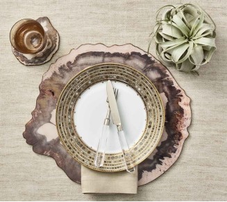 Petrified Wood Drink Coasters in Natural & Brown, Set of 4 in a Gift Box