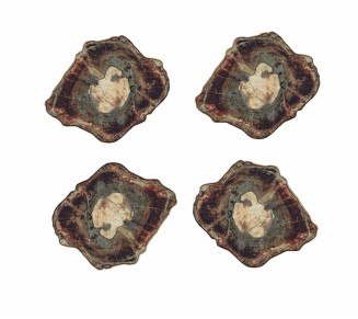 Fossil Drink Coasters in Multi, Set of 4 in a Gift Box