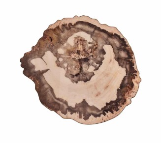 Petrified Wood Placemat in Natural & Brown, Set of 4