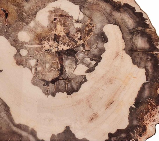 Petrified Wood Placemat in Natural & Brown, Set of 4