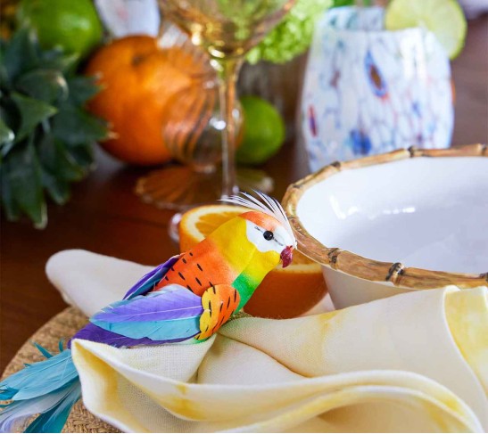 Rio Napkin Ring in Multi, Set of 4