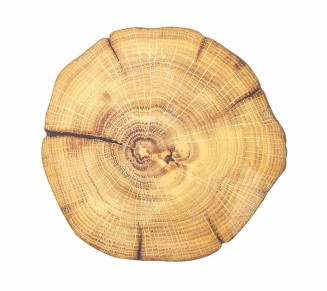 Woodland Placemat in Natural & Brown, Set of 4