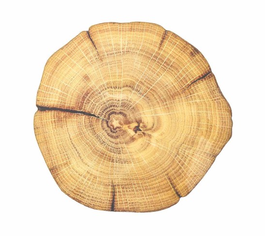 Woodland Placemat in Natural & Brown, Set of 4