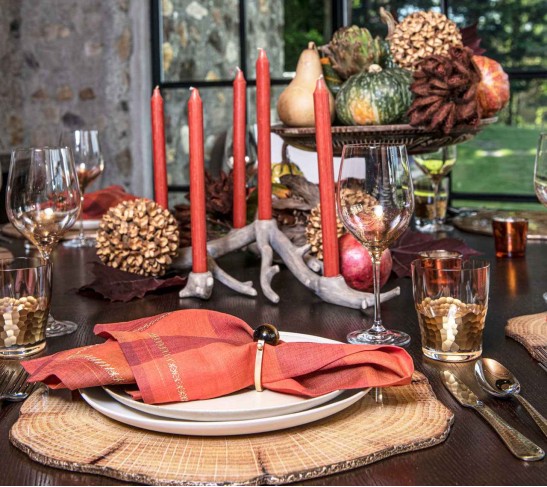 Woodland Placemat in Natural & Brown, Set of 4
