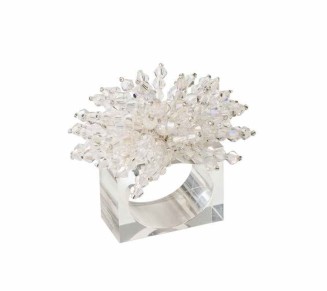Brilliant Napkin Ring in Clear, Set of 4