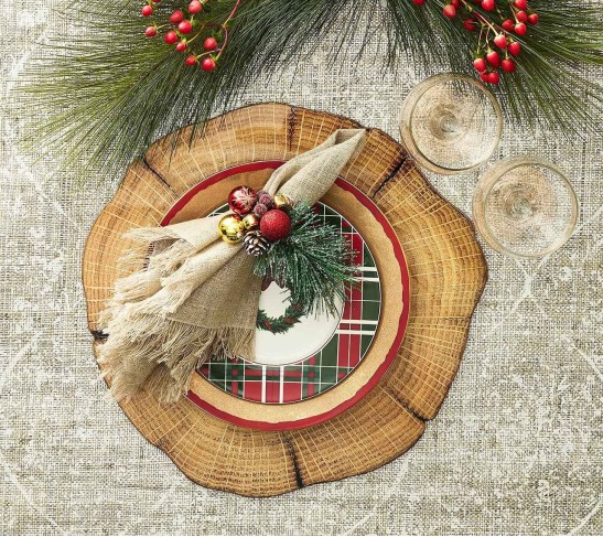 Fringe Napkin in Natural & Silver, Set of 4