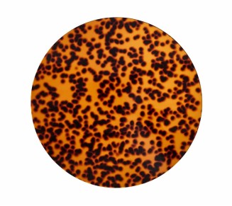 Tortoise Placemat in Brown, Set of 4