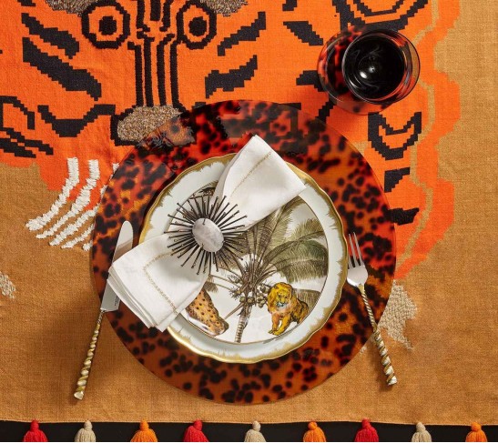 Tortoise Drink Coasters in Brown, Set of 6 in a Caddy