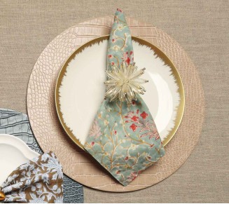 Linda Napkin in Multi, Set of 4