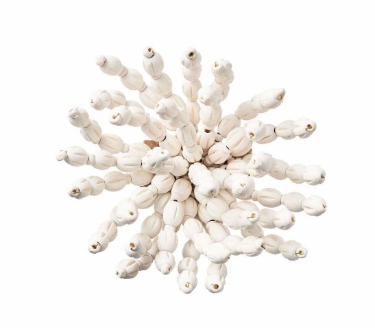 Reed Napkin Ring in White, Set of 4