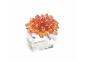 Zinnia Napkin Ring in Pink & Orange, Set of 4