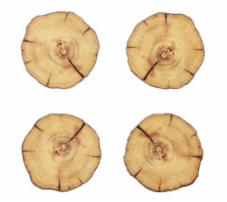 Woodland Drink Coasters in Natural & Brown, Set of 4 in a Gift Box