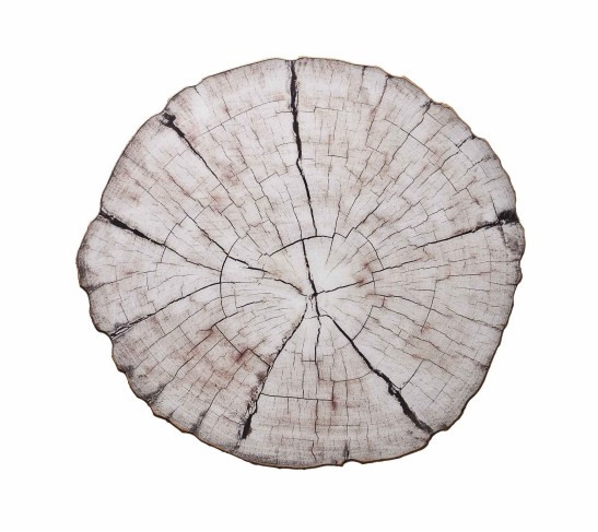 Birch Placemat in Ivory & Natural, Set of 4