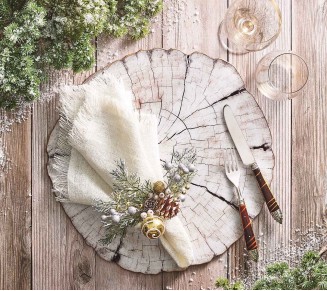 Fringe Napkin in White & Gold, Set of 4