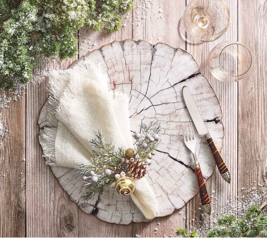 Fringe Napkin in White & Gold, Set of 4